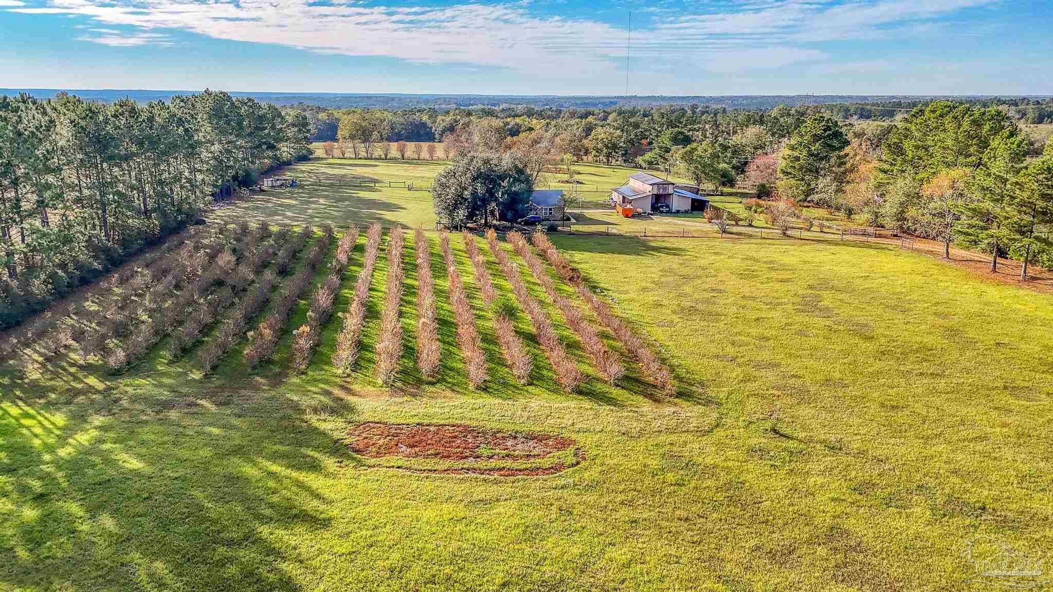 5401 Chestnut Road Molino, FL 32577 - Photo 44 of 50 Gallery Image 44