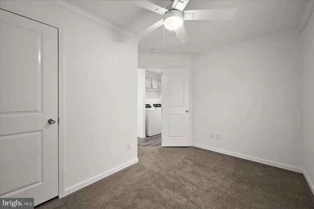 a bathroom with a shower and a toilet