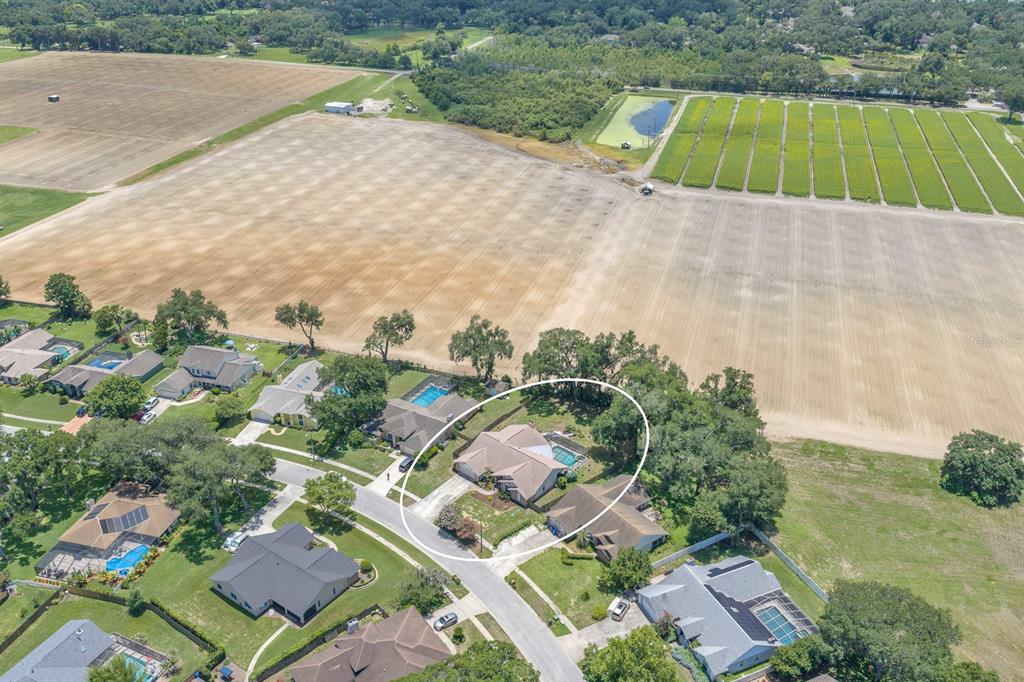 621 Penn National Road Seffner, FL 33584 - Photo 46 of 50