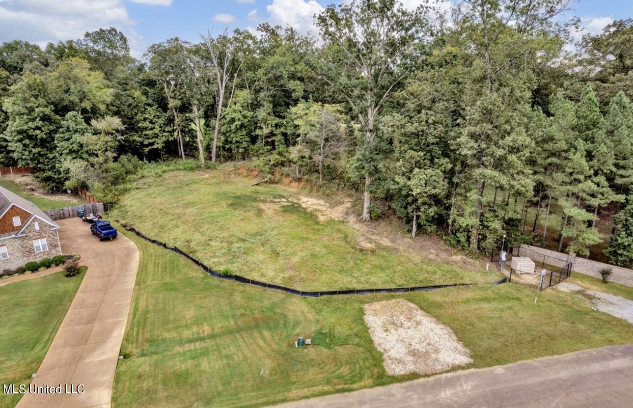 2768 Black Rock Road Nesbit, MS 38651 - Photo 2 of 6 IMG_0400