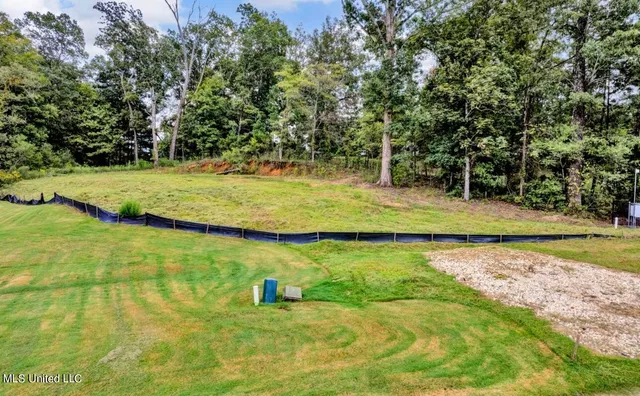 $59,999 | 2768 Black Rock Road, Nesbit, MS 38651