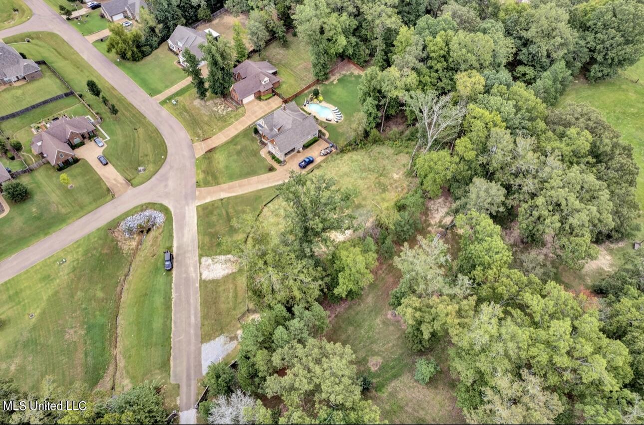2768 Black Rock Road Nesbit, MS 38651 - Photo 5 of 6 IMG_0402