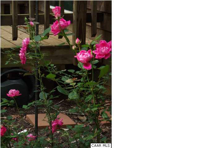 23 Dogleg Road Palmyra, VA 22963 - Photo 3 of 23