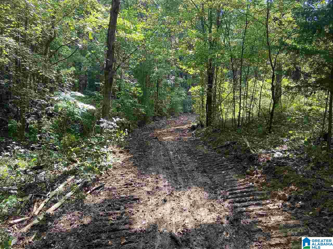 Cold Branch Road, Unit 48 Arab, AL 35016 - Photo 25 of 27