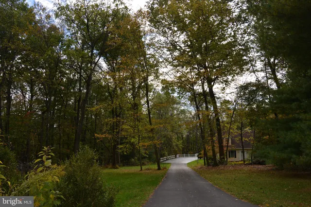 a park with lots of trees