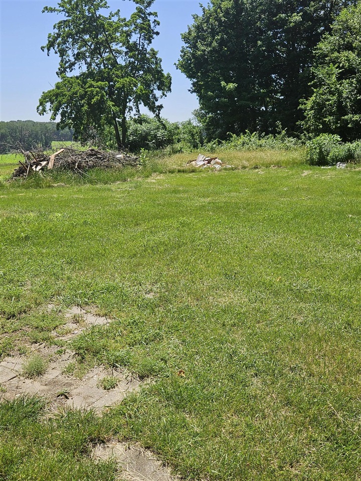 10501 M-99 Road Albion, MI 49224 - Photo 4 of 14