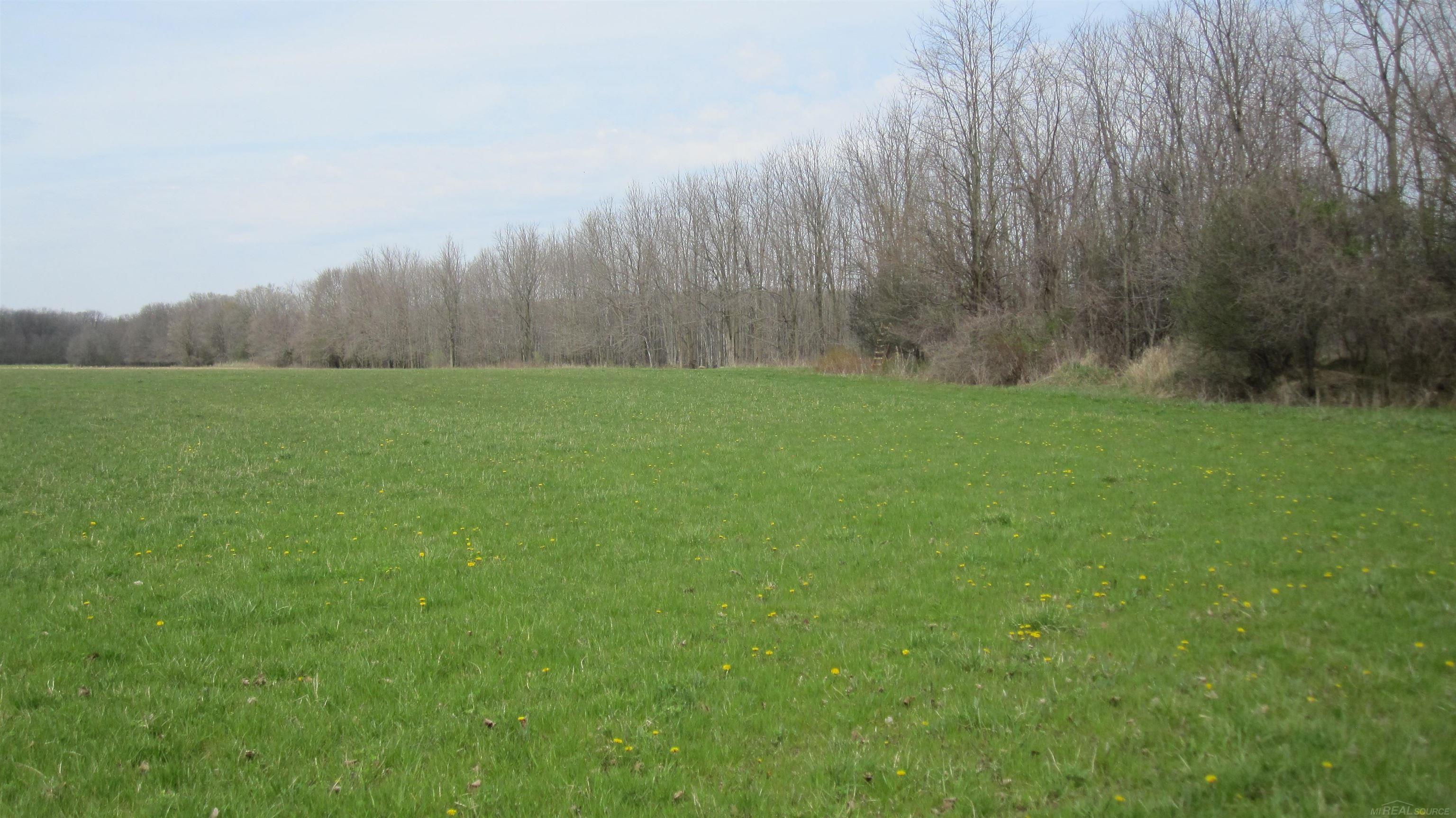 1-vl Jeddo Road Avoca, MI 48006 - Photo 15 of 18