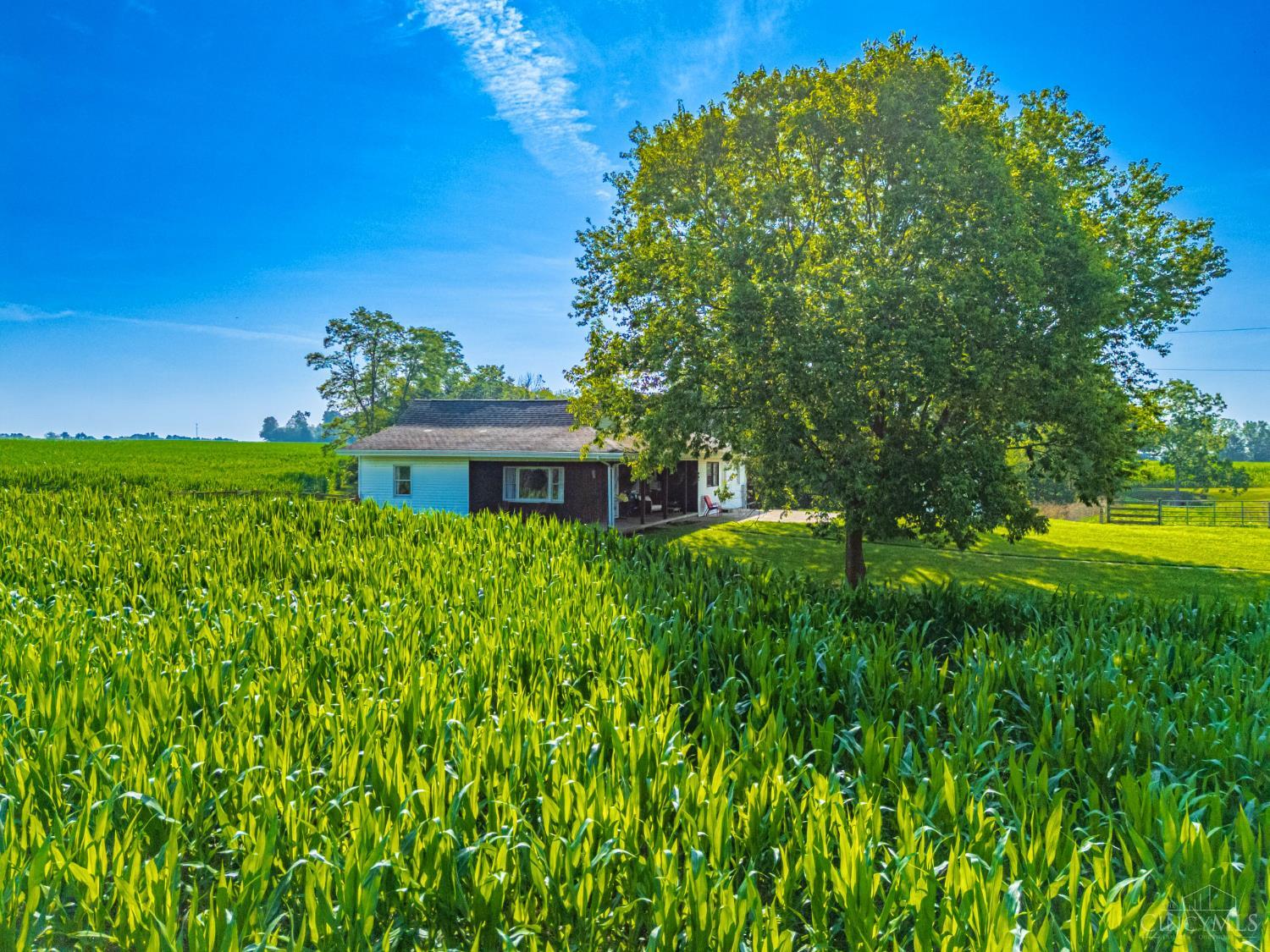 2230 Calvary Road Seaman, OH 45679 - Photo 6 of 65