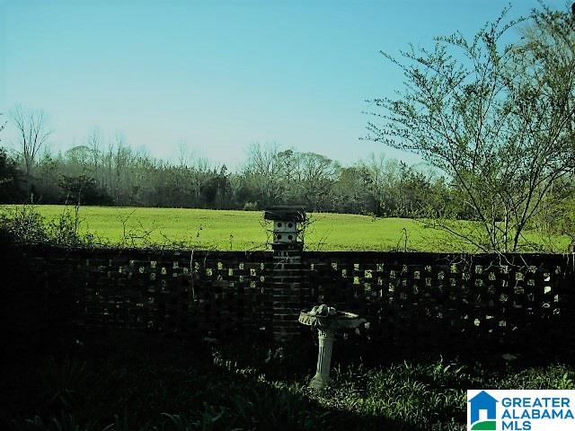 1201 Pinedale Road Clanton, AL 35045 - Photo 11 of 44