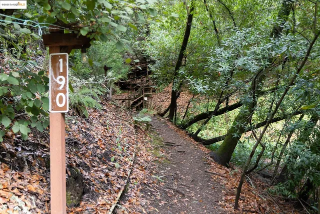 a view of a yard with plants