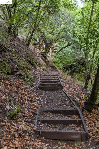 a view of a yard with plants