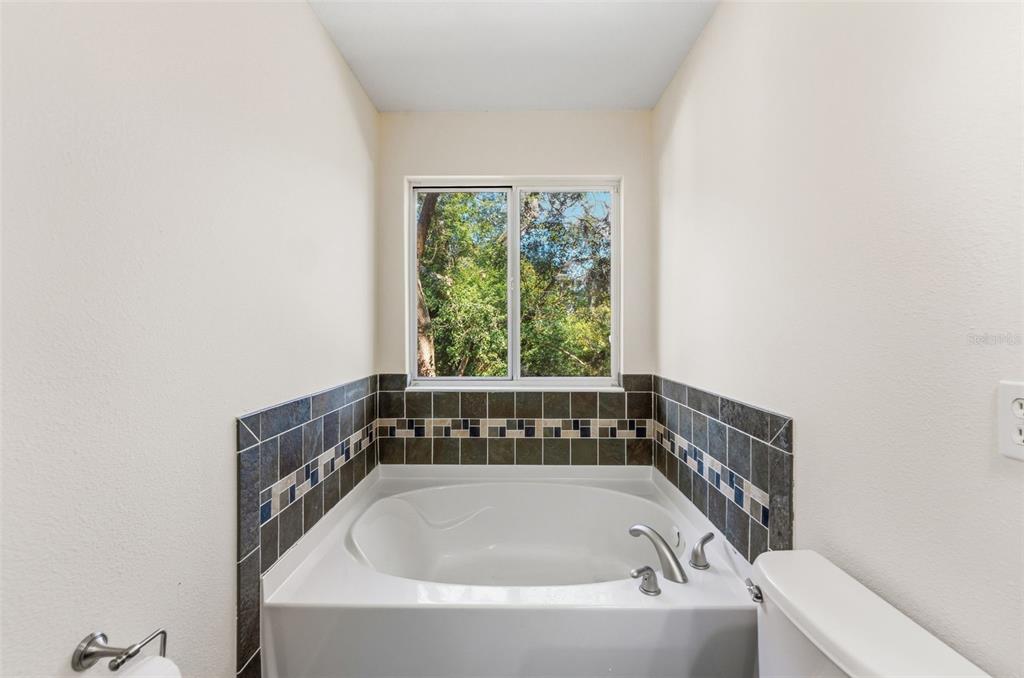 11646 Mango Ridge Boulevard Seffner, FL 33584 - Photo 23 of 41