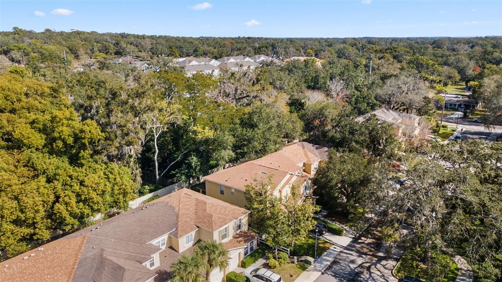 11646 Mango Ridge Boulevard Seffner, FL 33584 - Photo 38 of 41