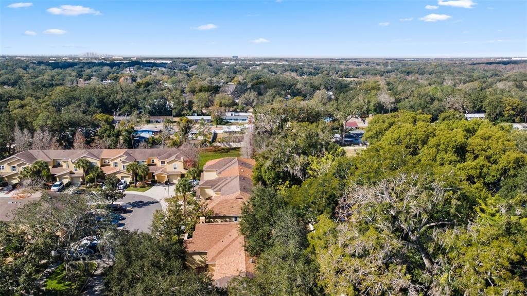 11646 Mango Ridge Boulevard Seffner, FL 33584 - Photo 39 of 41