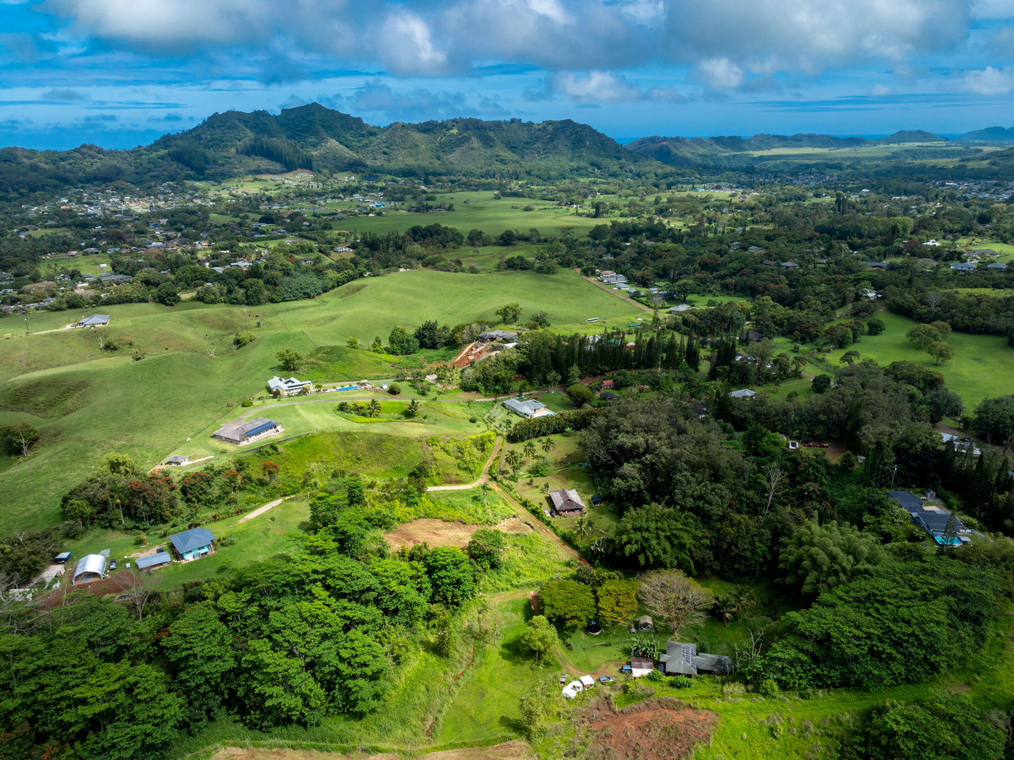 Kipapa Road, Unit 1 Kapaa, HI 96746 - Photo 12 of 16 a view of a green field with lots of bushes