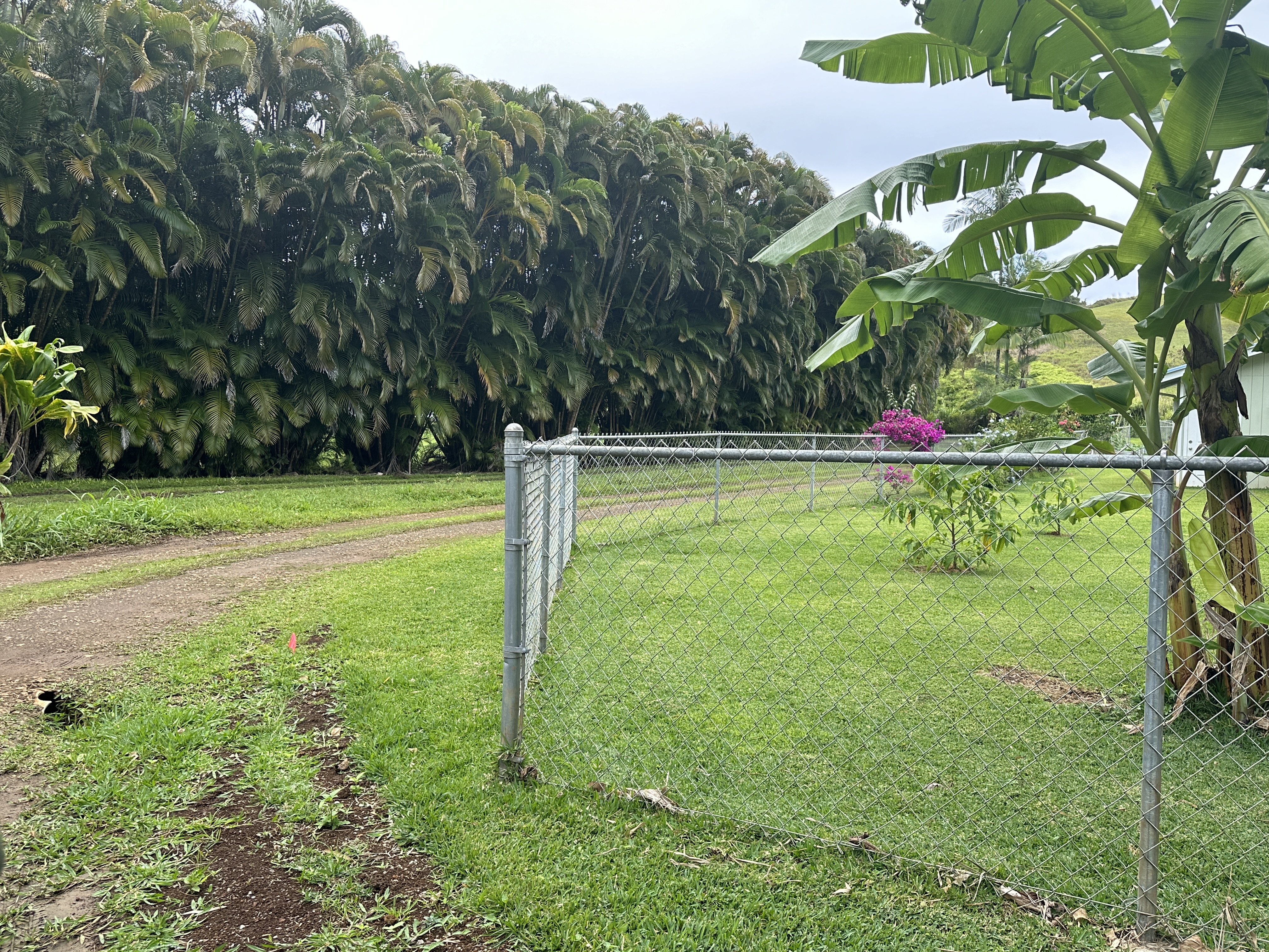 Kipapa Road, Unit 1 Kapaa, HI 96746 - Photo 15 of 16 a view of a playground with basketball court