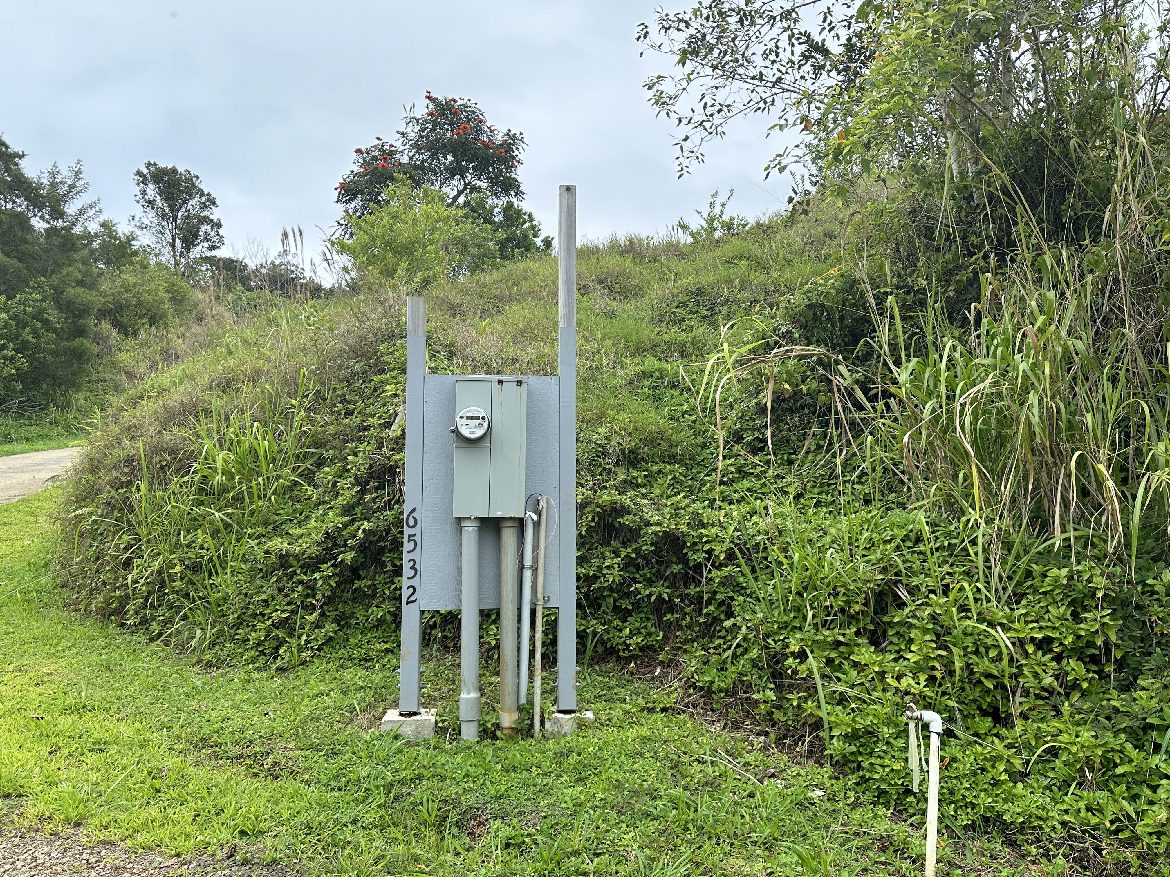Kipapa Road, Unit 1 Kapaa, HI 96746 - Photo 16 of 16 a view of a backyard