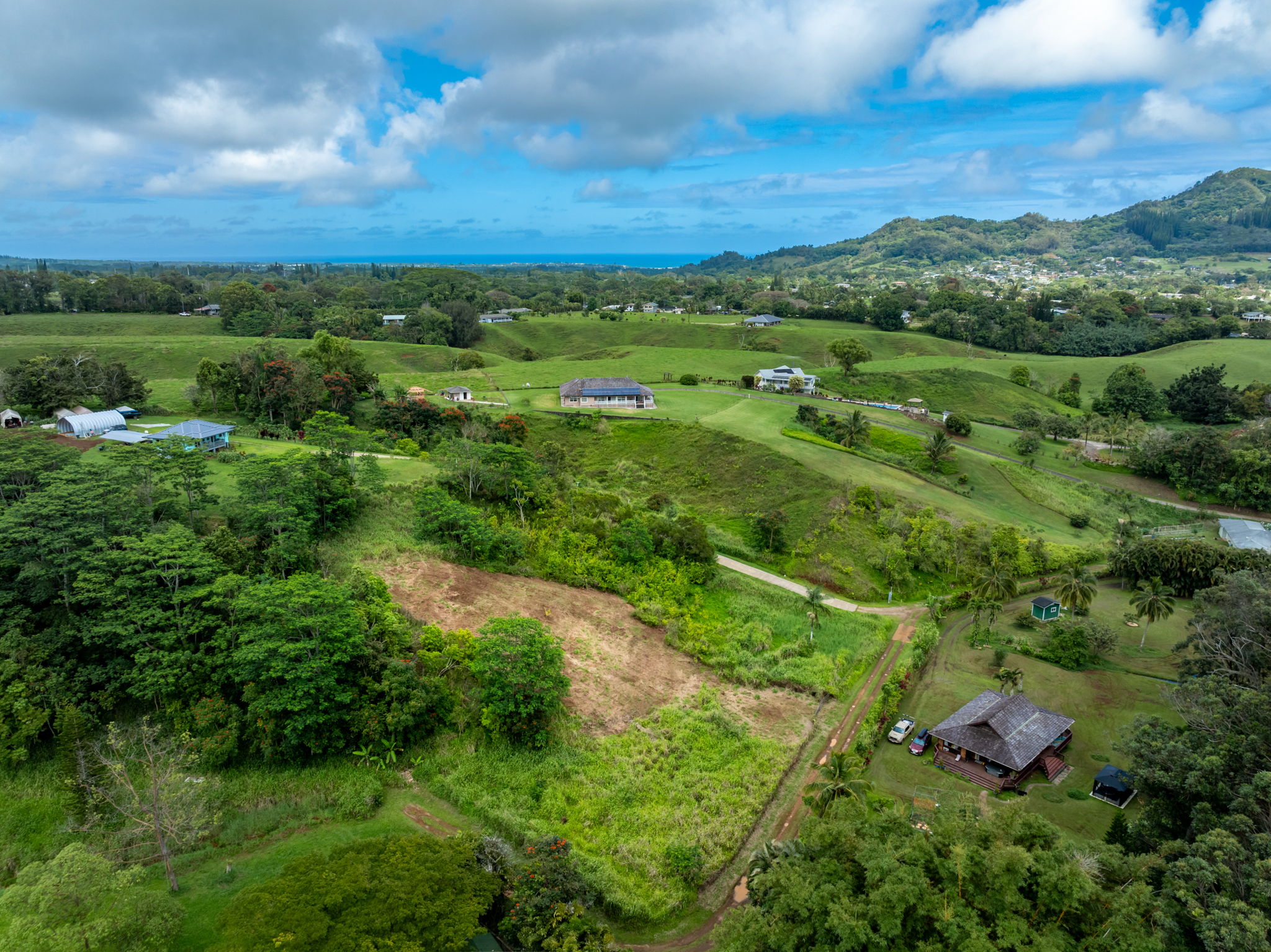 Kipapa Road, Unit 1 Kapaa, HI 96746 - Photo 5 of 16 a view of a city with lush green forest