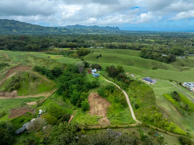 an aerial view of residential houses with outdoor space and trees