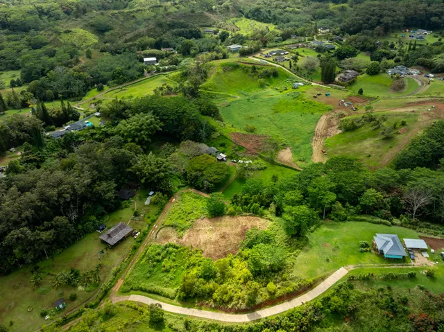 an aerial view of residential houses with outdoor space and trees