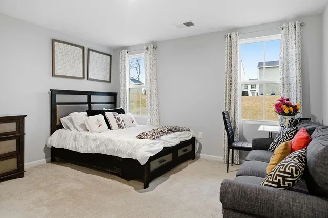 a bed room with a bed and a couch