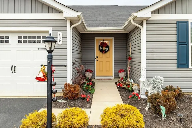 a potted plant sitting in front of a house