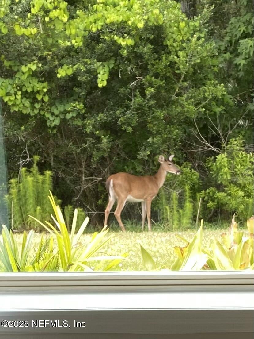 377 Orchard Pass Avenue Ponte Vedra, FL 32081 - Photo 43 of 75 IMG_1404