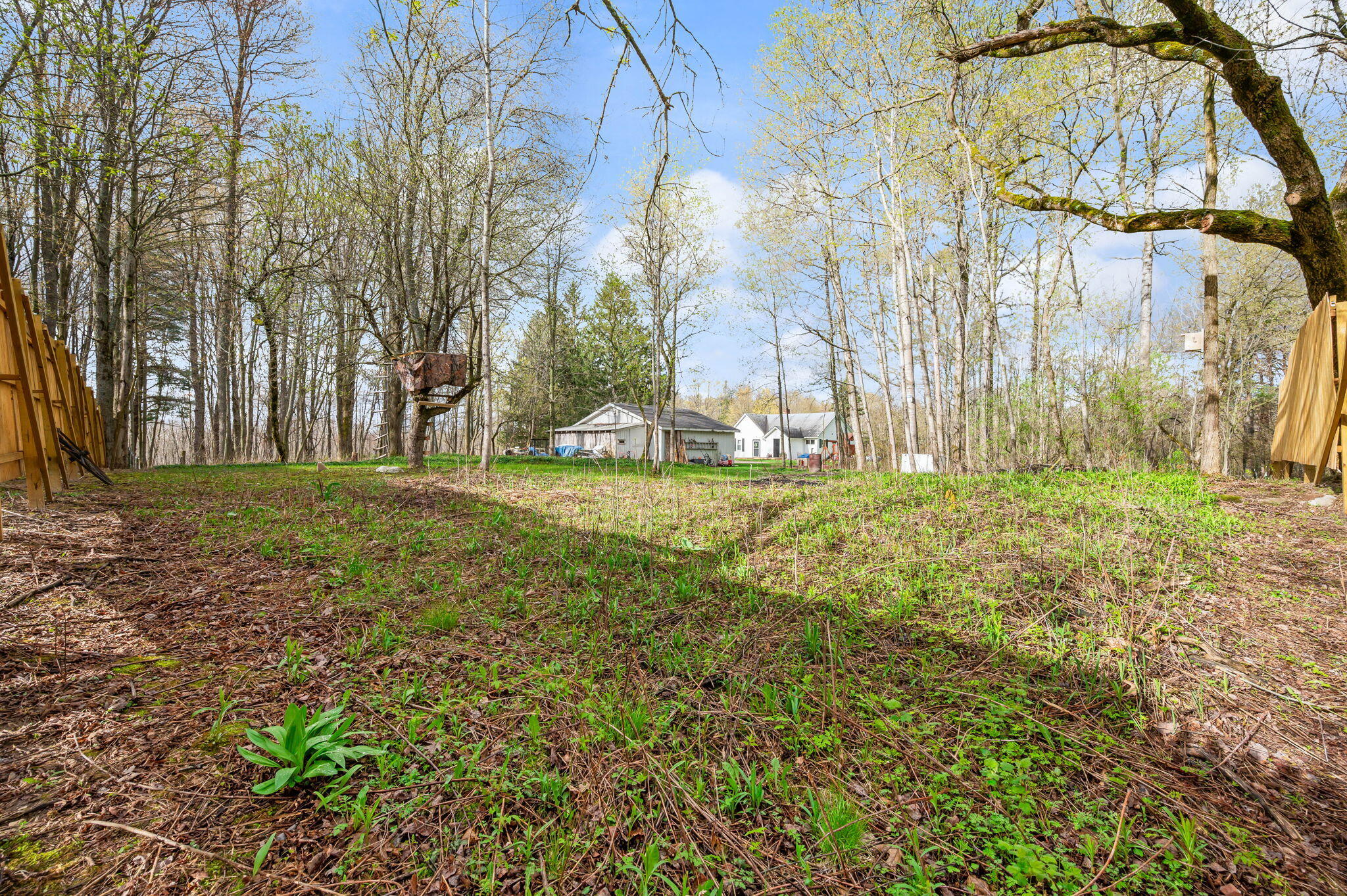 16404 12 Mile Road Leroy, MI 49655 - Photo 30 of 39 30-web-or-mls-16404-12MileRd-LeRoy-31
