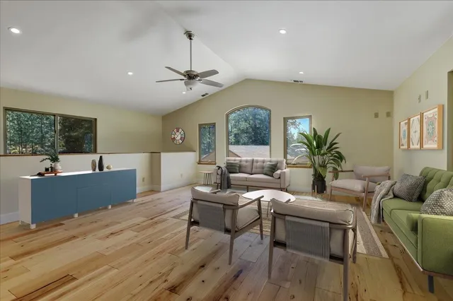 a view of a yard with plants and trees