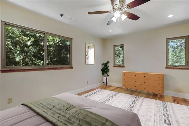 a view of a dry yard with trees