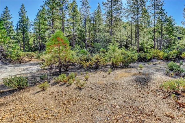 $2,400,000 | 18955 Lake City Road, Nevada City, CA 95959