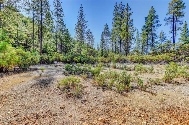 $2,400,000 | 18955 Lake City Road, Nevada City, CA 95959