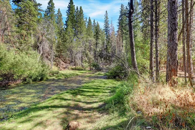 $2,400,000 | 18955 Lake City Road, Nevada City, CA 95959
