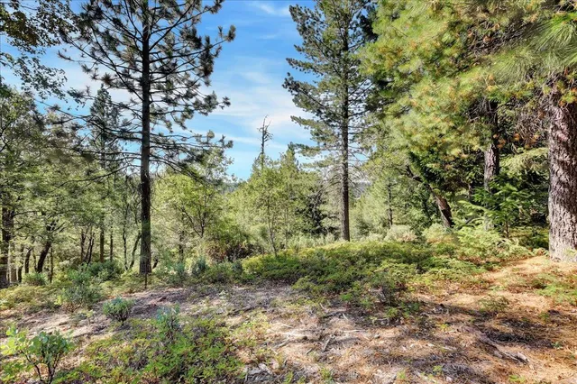 $2,400,000 | 18955 Lake City Road, Nevada City, CA 95959