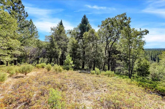 $2,400,000 | 18955 Lake City Road, Nevada City, CA 95959