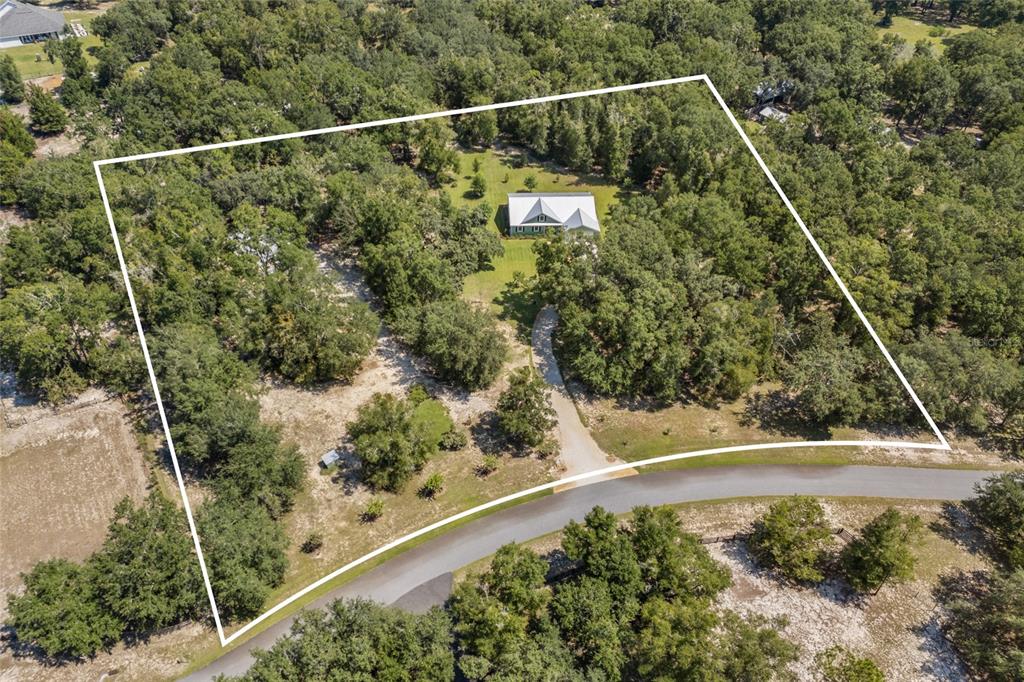 4162 Northeast 27th Lane High Springs, FL 32643 - Photo 41 of 46 a view of a yard