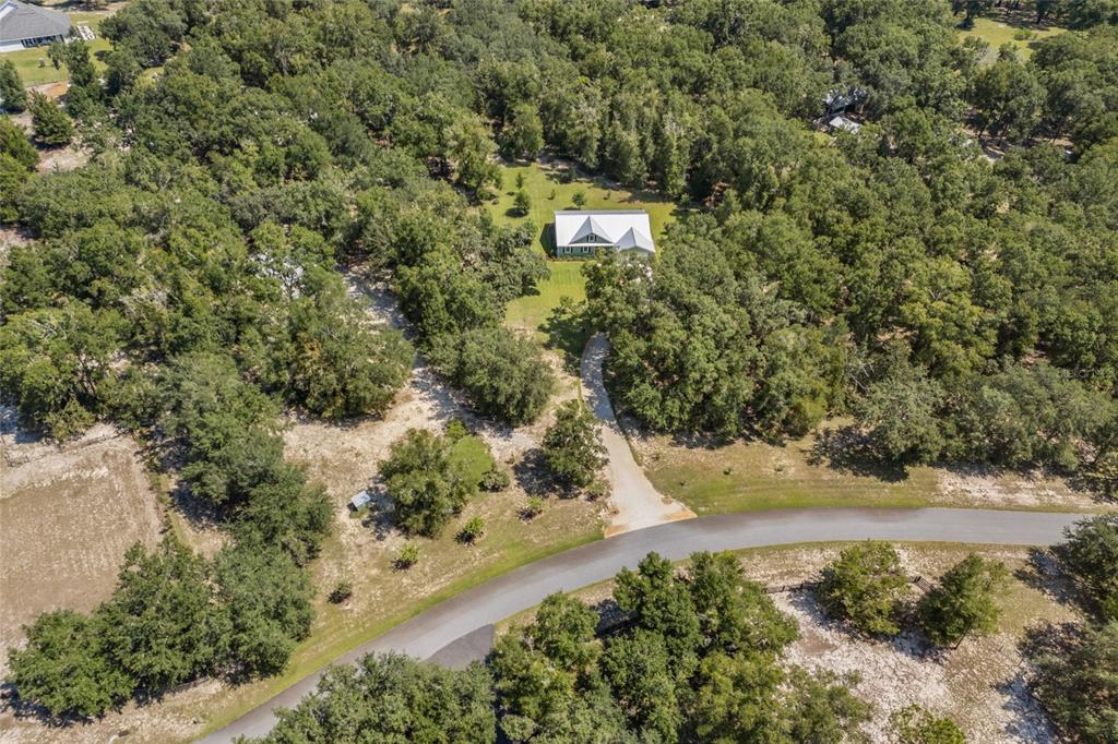 4162 Northeast 27th Lane High Springs, FL 32643 - Photo 42 of 46 a view of a yard with a tree