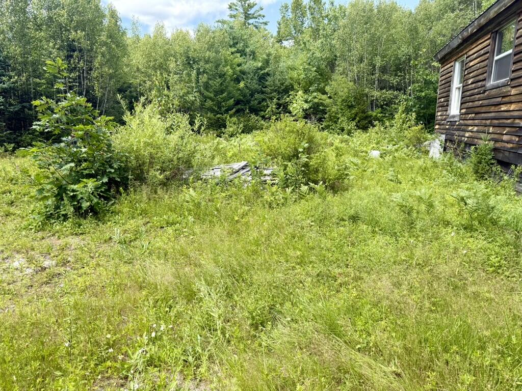 13 Story Road Cooper, ME 04657 - Photo 11 of 52 89D745D4-A973-4F68-B15C-E9A6EAF818BD_1_1