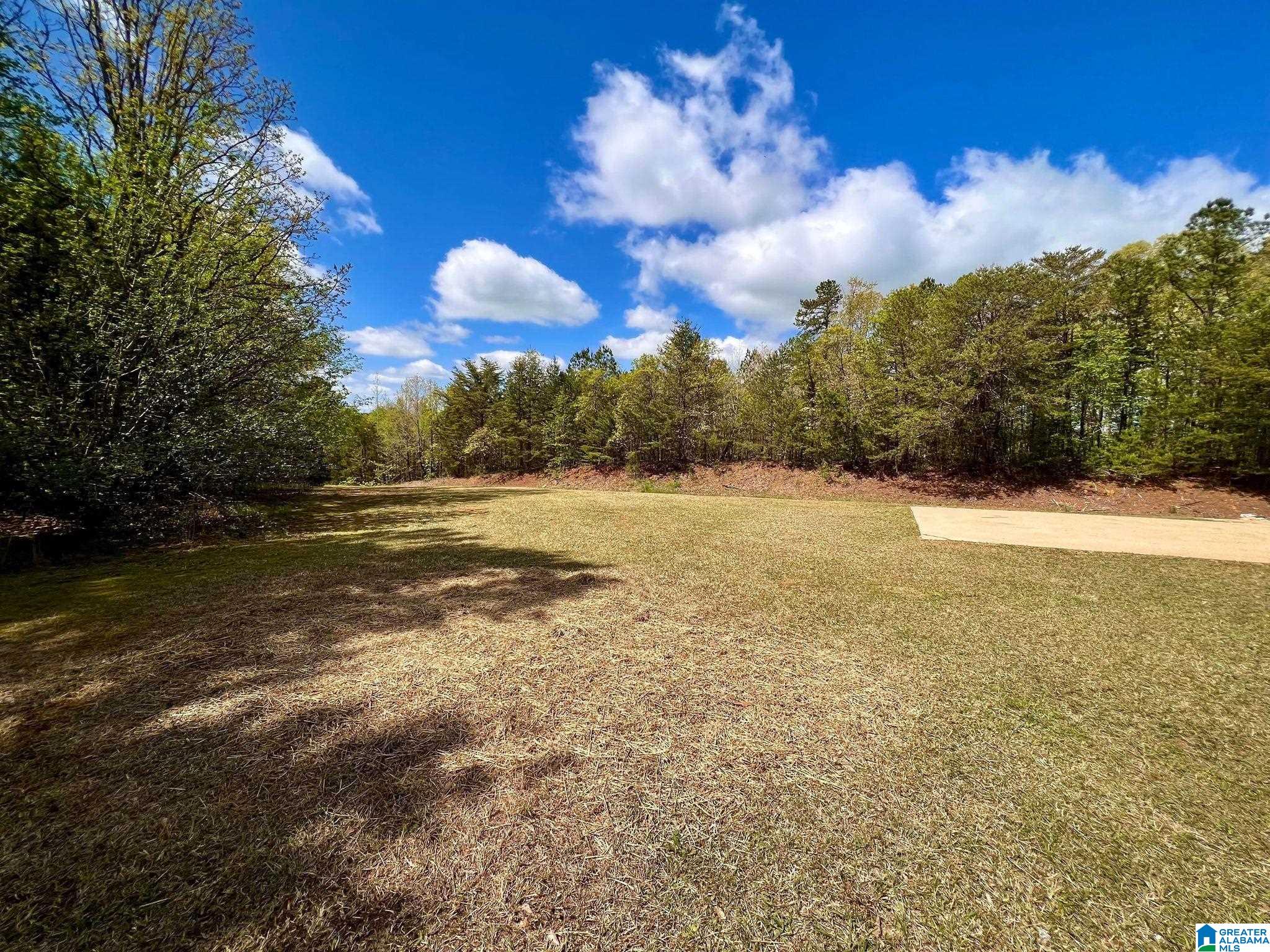 991 Goodenville Road Munford, AL 36268 - Photo 7 of 32