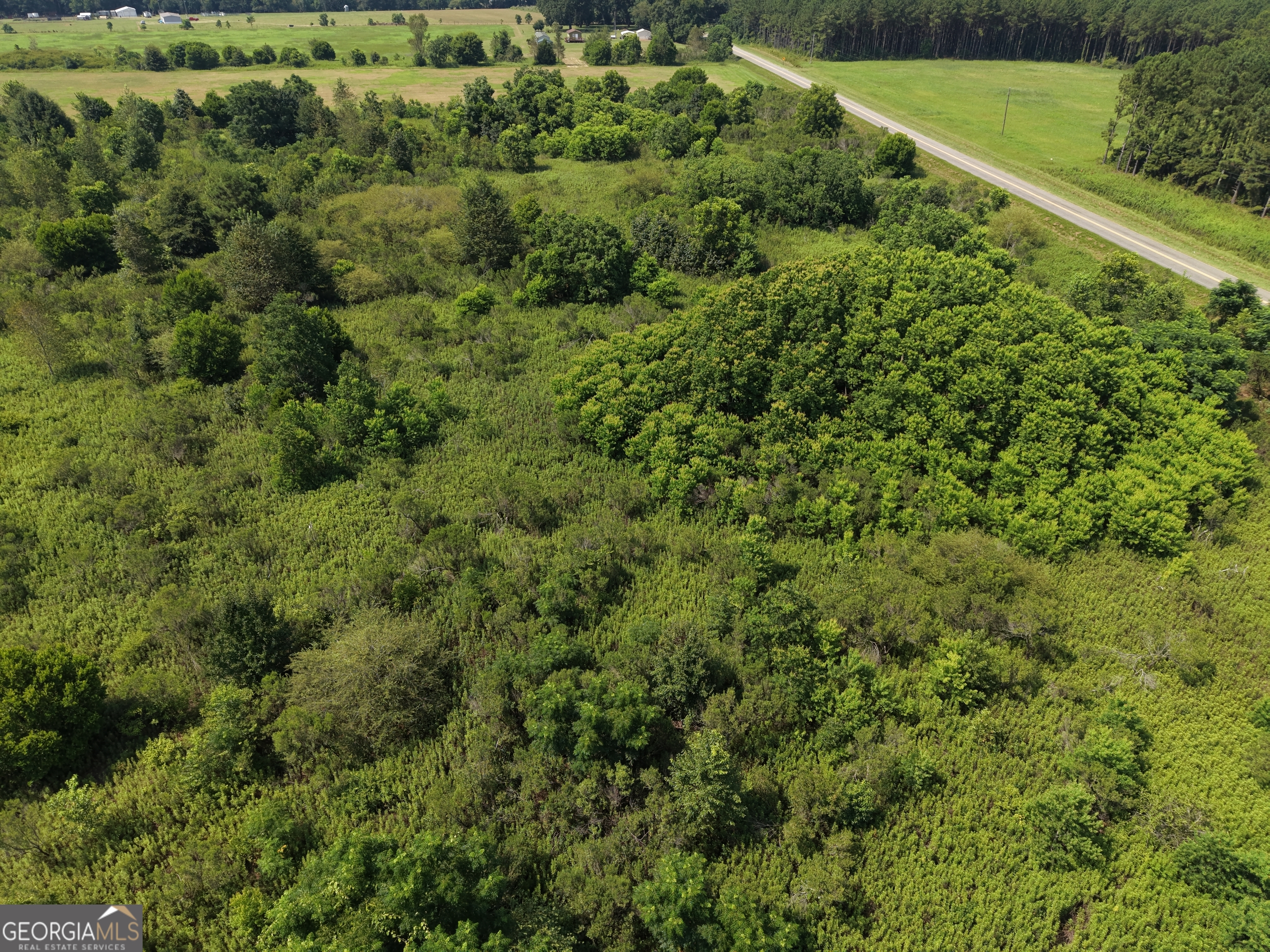 960 Elko Road Unadilla, GA 31091 - Photo 2 of 14