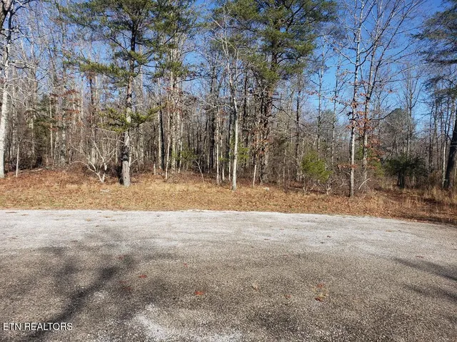 $49,998 | Lot 44 Hemlock Lane, Spencer, TN 38585