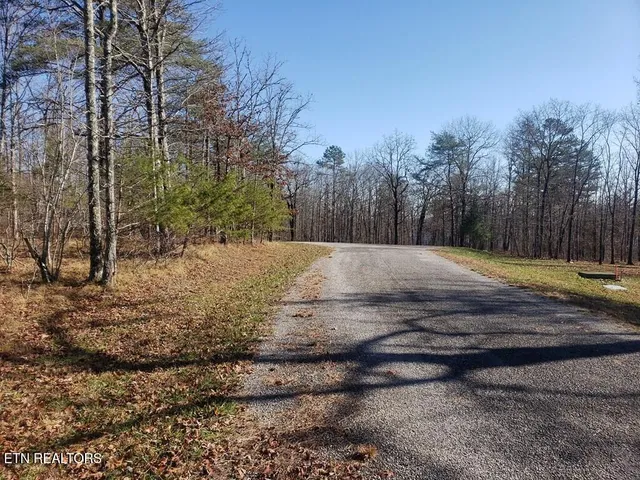$49,998 | Lot 44 Hemlock Lane, Spencer, TN 38585