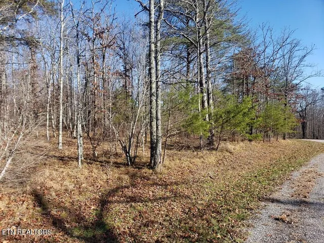 $49,998 | Lot 44 Hemlock Lane, Spencer, TN 38585