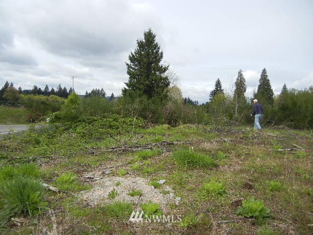 4 Hansen Road Woodland, WA 98674 - Photo 1 of 1 Gallery Image 1