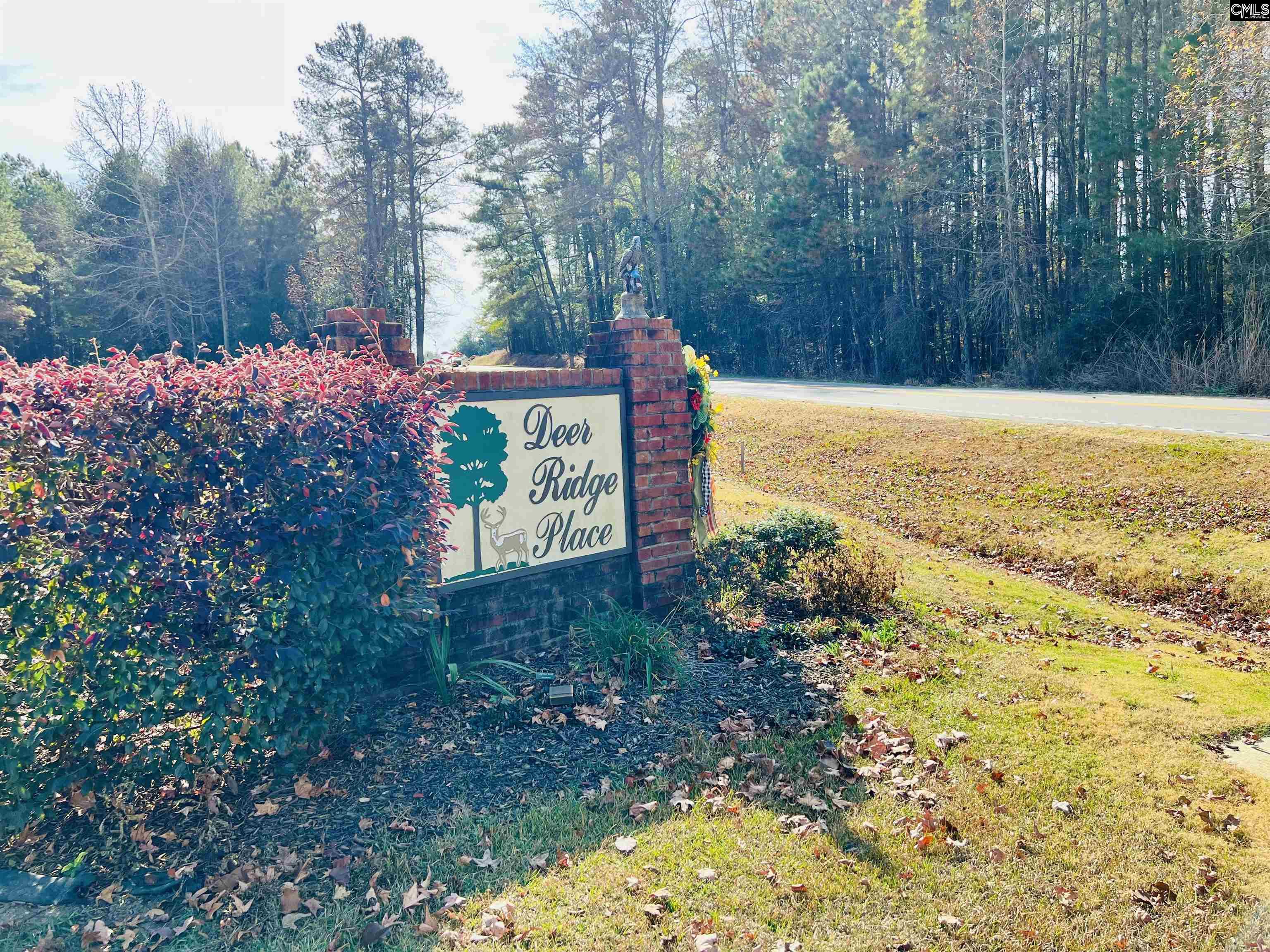 127 Deer Ridge Trail Gilbert, SC 29054 - Photo 2 of 13
