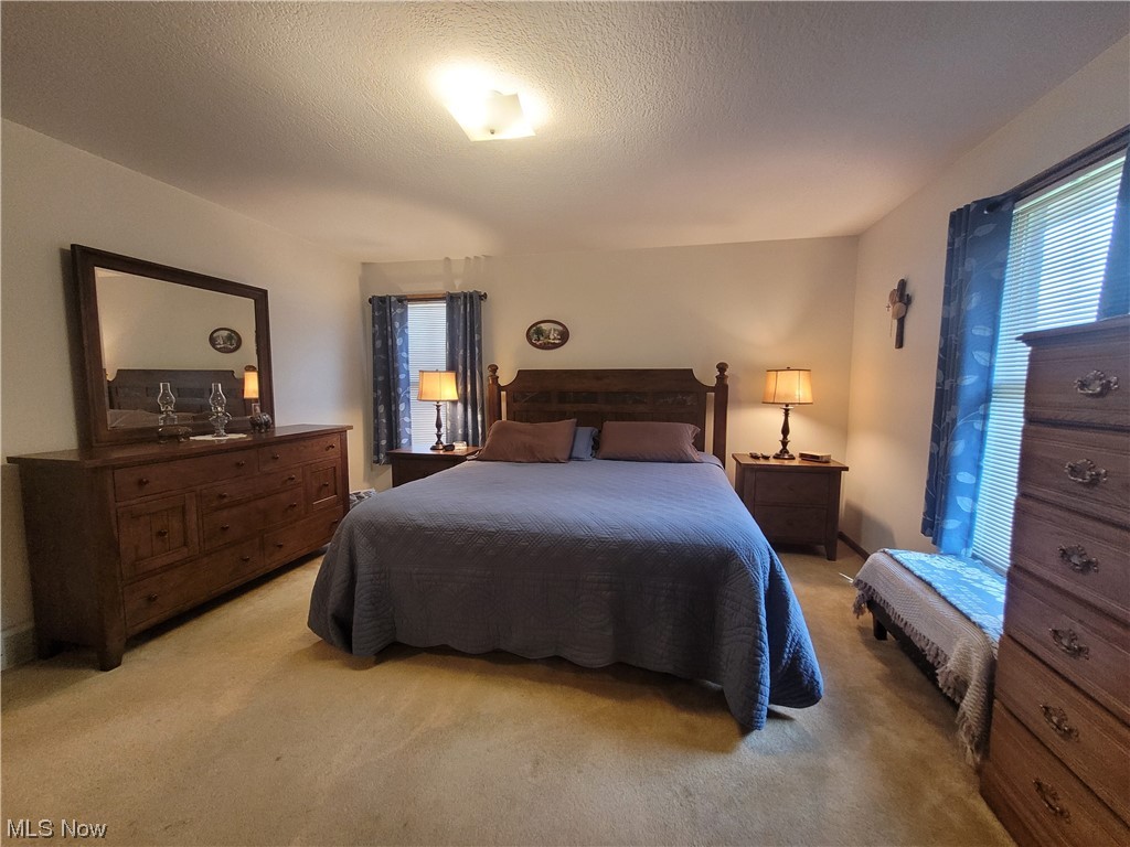 6030 Macaw Road Minerva, OH 44657 - Photo 18 of 34 Bedroom with light carpet, multiple windows, and a textured ceiling