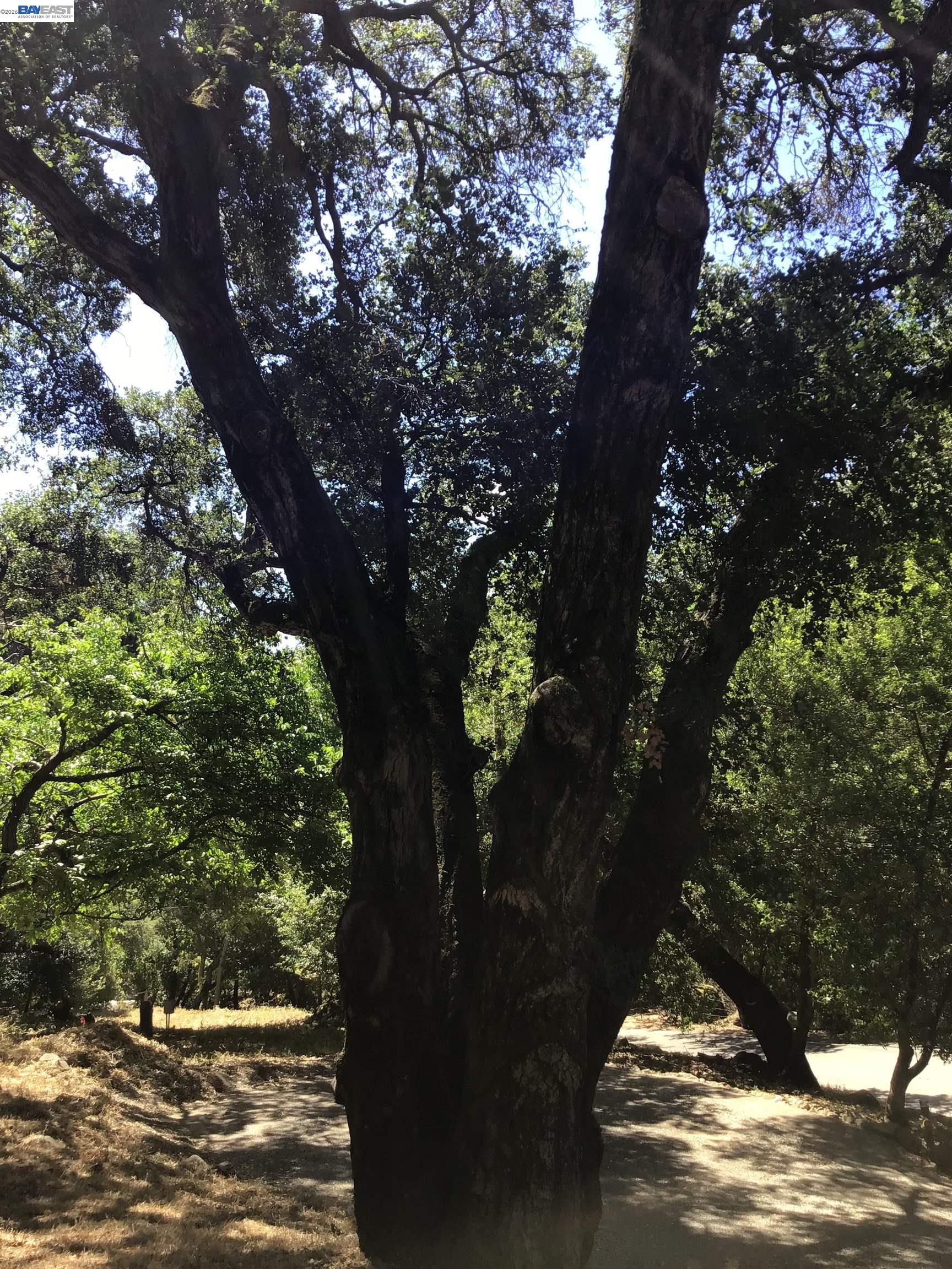 1929 Kilkare Road Sunol, CA 94586 - Photo 25 of 35