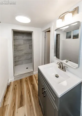 a bathroom with a sink a shower and a mirror
