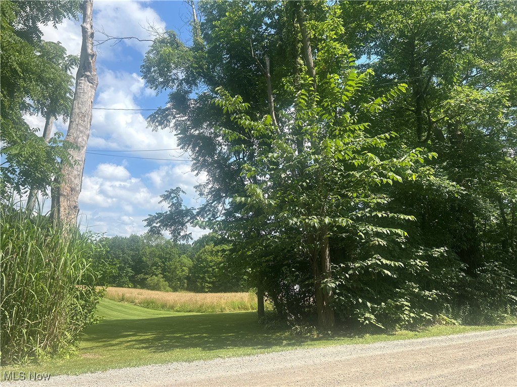 Owen Road Middlefield, OH 44062 - Photo 3 of 4