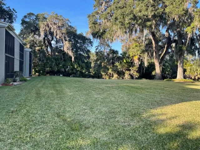 a view of a field with trees